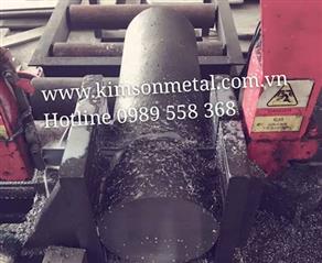 Cắt cây đặc theo chiều dài yêu cầu